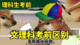 Sự khác biệt giữa khoa văn và khoa tự nhiên trước kỳ thi…