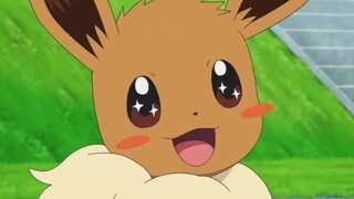 [Movie&TV] [Pokémon] Menggemaskan! Eevee Belajar Berjalan & Berenang