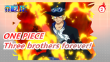 ONE PIECE|Three brothers forever! Ace, Sabo and Luffy_2