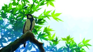 Cinta yang terhalang oleh usia
