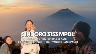 PENDAKIAN GUNUNG SINDORO VIA KLEDUNG | SEKAWAN LIMO DAY IN VLOG