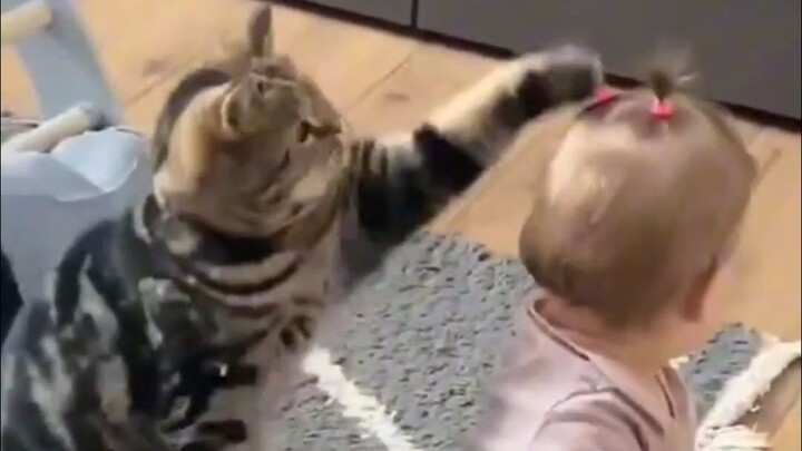 Cat and Baby Compilation