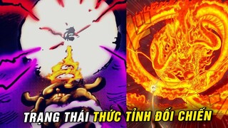 Kaido nổi giận , Trạng thái thức tỉnh cuối cùng : Hỏa Long đối chiến Vua Khỉ [ One Piece 1048+ ]