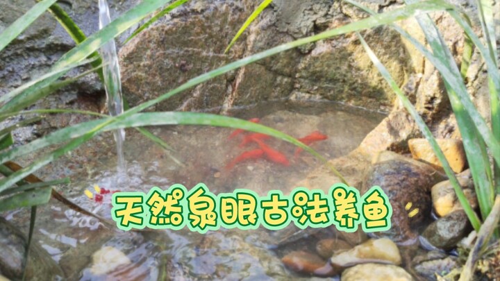 电镐碎石挖鱼池，堵漏过滤瞎折腾攻略！！！