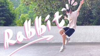 【章鱼烧】Rabbit   -太热了于是摆烂的文艺复兴