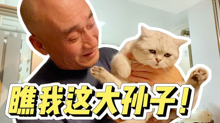 Is Grandpa Treating the Cat Like His Eldest Grandson? Kisses, Hugs, and High-Lifts! A Must-See for T