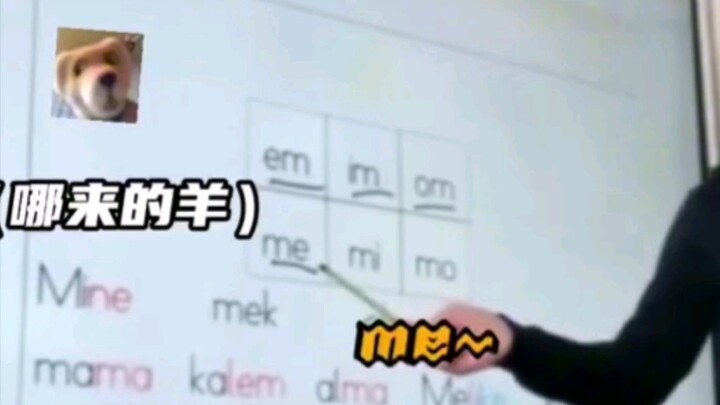 Thật sự giống như một bầy cừu con đang kêu vậy~