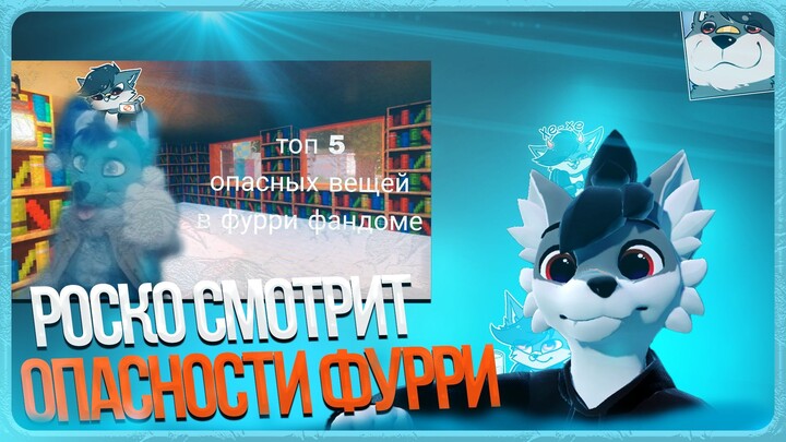 🐺 Роско смотрит Leo the fox - Топ 5 опасных вещей в фурри фандоме