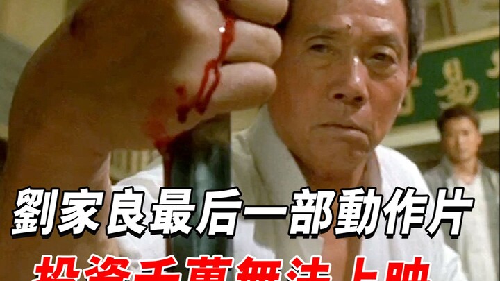 Now this is a true kung fu blockbuster—its martial‑arts choreography is top‑notch, yet it was never 