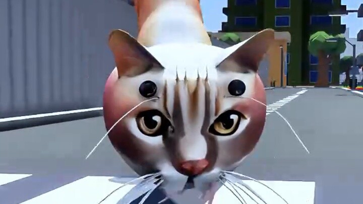 The shrimp cat misunderstood by Zero