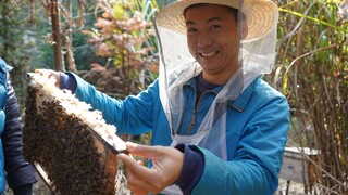 Anh em Huanong: Hãy xem mật ong của anh em chúng tôi và thử một ít, nó rất thơm và ngọt.