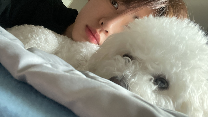 【ENHYPEN】Tổng hợp TikTok của Park Sung-hoon – sẽ tiếp tục cập nhật