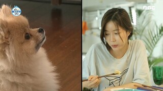 [HOT] Mom, I'm hungry too 나 혼자 산다 20190809