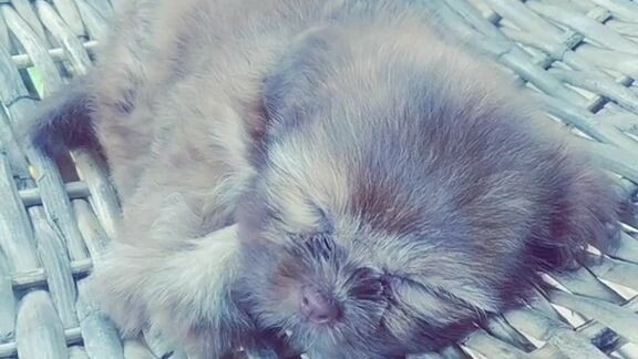 mY bAby KiaRrA