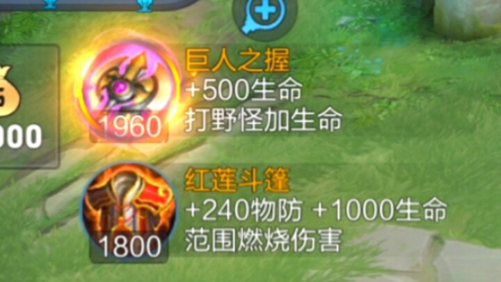 I’m Wei’s assassin Lan. Adding a bit of tankiness to my squishy assassin build to survive—is that re