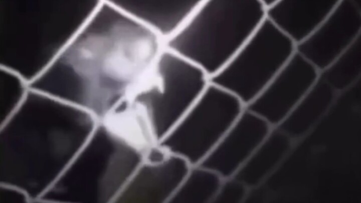 Xin lỗi, không nhịn được 😅