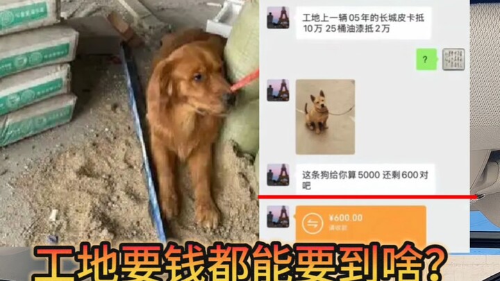 Construction site dog has been used as debt repayment.