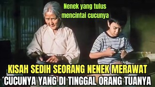 SEDIH !! NENEK INI MERAWAT CUCUNYA DALAM KEMISKINAN 😭😭 ALUR CERITA FILM THE WAY HOME 2002