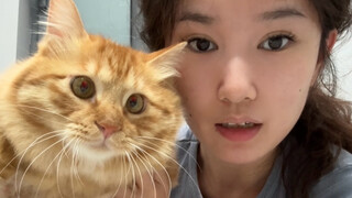 Món đồ dễ thương măng chua cổ vẹo