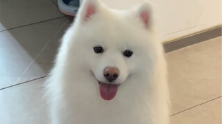 都这么大的宝宝了 还这么的黏人