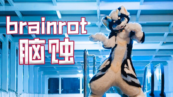 Fluffy invasion of the brain successful~🧠