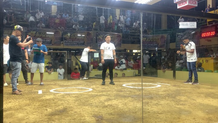 Calabarzomm 3-Stag Derby Finals. Sweater x Gilmore 2nd Fight Lose. Metro Darasa!