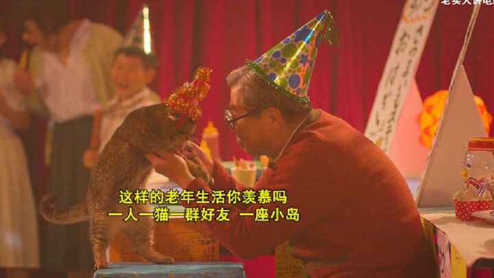 Do you envy this kind of senior life? One person, one cat, a group of friends, and a little island—C