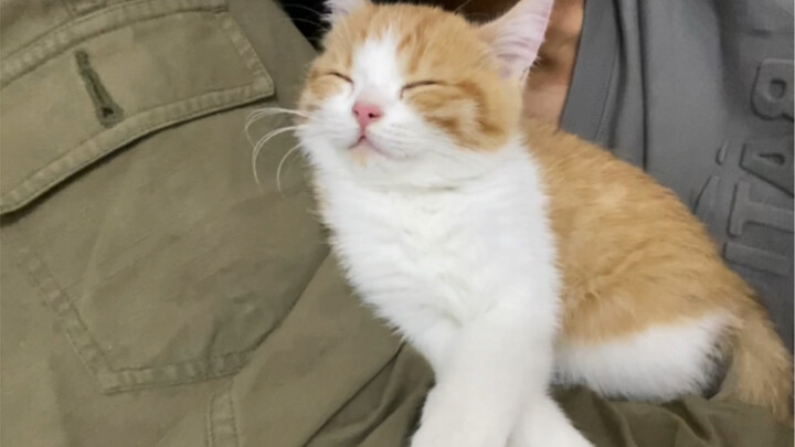 Bé con sắp lớn rồi!