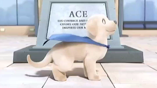 Guide Dog's First Day on the Job: A Heartwarming Short Film—Just quietly put in the effort, and you'