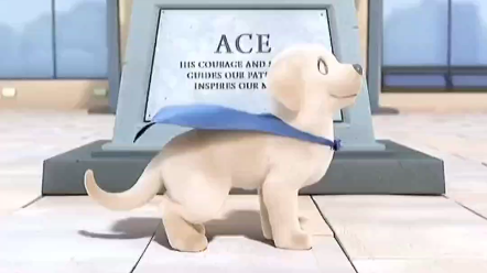 Guide Dog's First Day on the Job: A Heartwarming Short Film—Just quietly put in the effort, and you'