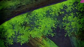 Naruto Tidak Bisa Mengalahkan Madara Dengan Rasenggan saja