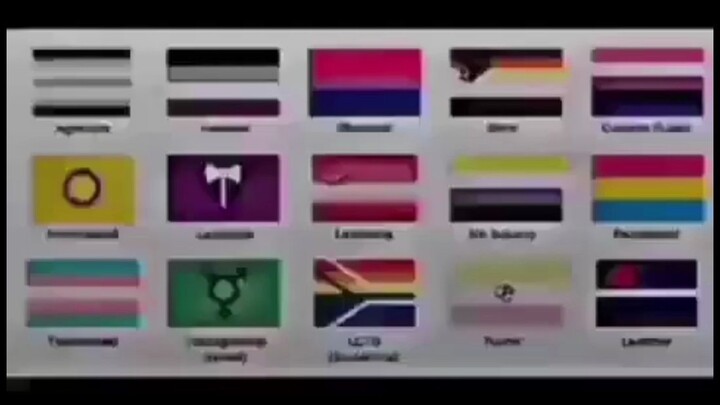 [Subtitle Bahasa Mandarin] Mengajari Anda Cara Mengenali Bendera