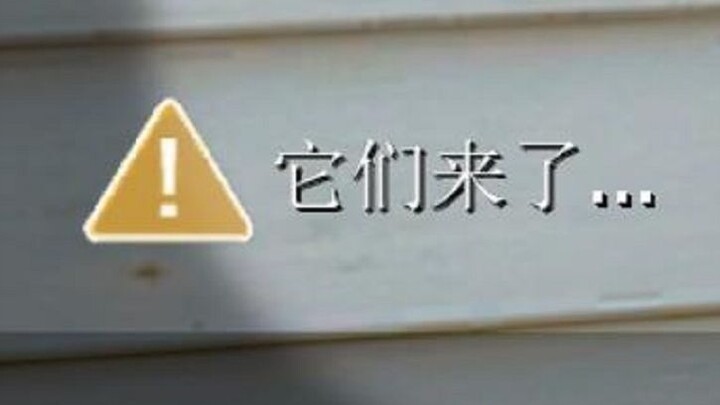 求生之路玩家的破防瞬间#4