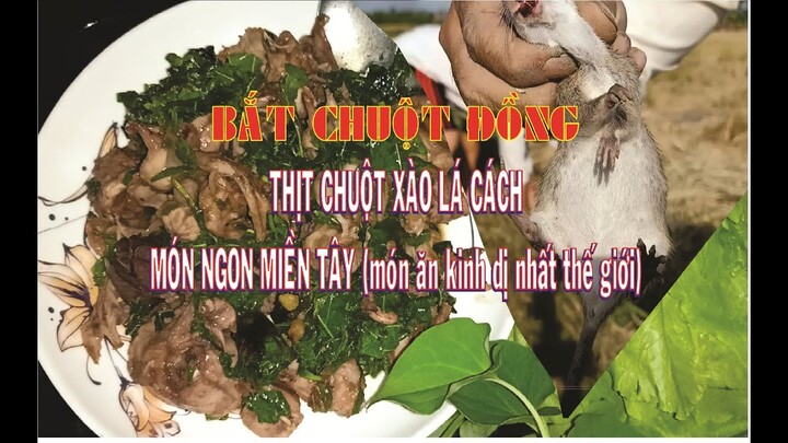 Bắt chuột đồng - Món ngon miền tây (Món ăn kinh dị nhất thế giới)