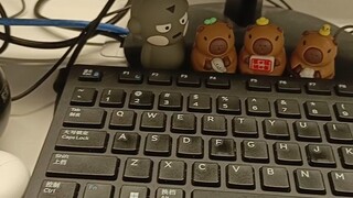 哈哈哈哈哈