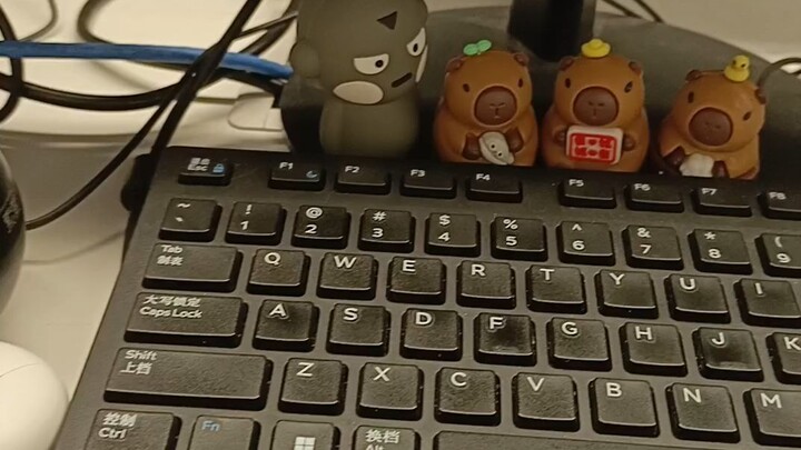 哈哈哈哈哈