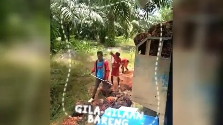 Video Lucu di Jamin Ngakak, Adu Panco Lucu Banget
