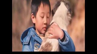Review phim: The Reading Boy 2 | Tình cảm giữa con người và động vật đôi khi còn hơn cả gia đình...