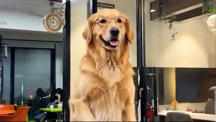 3 hours of sleep doesn’t affect me🤝 . . . #corporatelife #trendingreel #funny #explore #systemonex