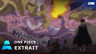 One Piece | Momonosuke dévoile sa forme dragon adulte ! | ADN