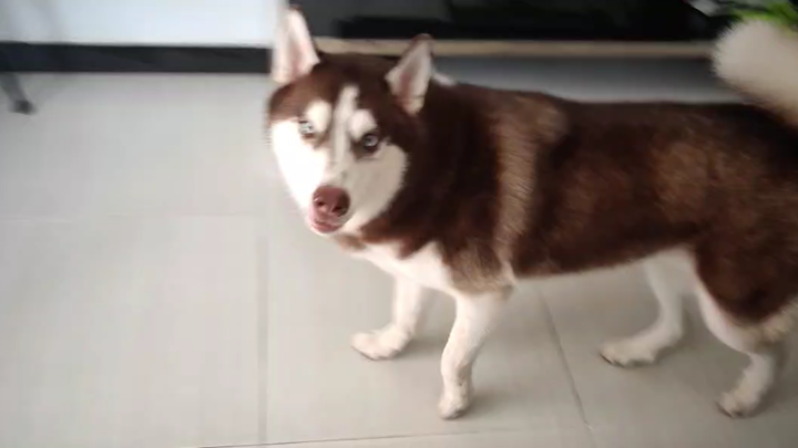 ทำไมต้องไปยุ่งกับไอ้บ้าคนนี้ด้วยล่ะ?