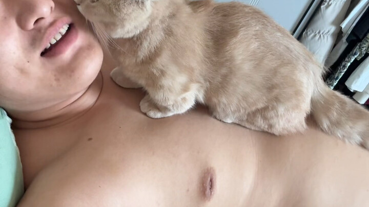 Chỉ là con mèo nhỏ này thôi, thật sự không phải khoe khoang