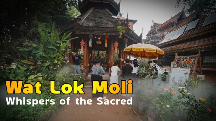 Wat Lok Moli - The Sacred Sanctuary of Chiang Mai