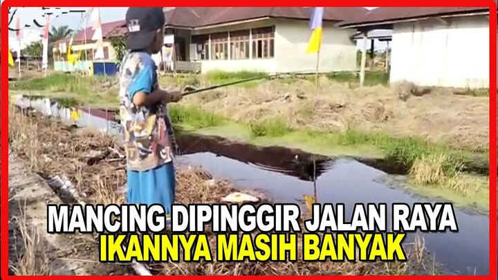 BEGINI RASANYA MANCING DISELOKAN PINGGIRJALAN RAYA