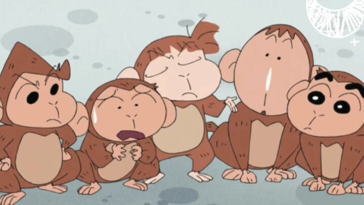 Crayon Shin-chan: The five Shin-chans: They all look the same as us!