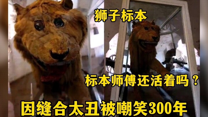 A lion that’s been mocked for 300 years, all because its taxidermy was done so poorly!
