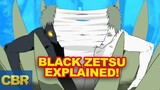 Naruto: Black Zetsu Origins Explained