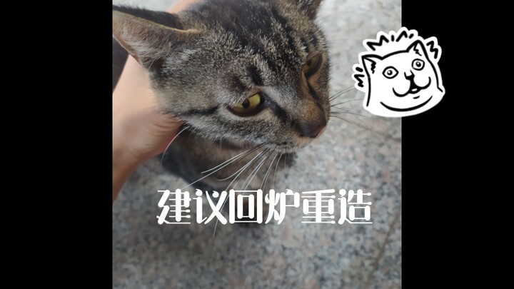 Tell me, how on earth did this thing even come into existence?!