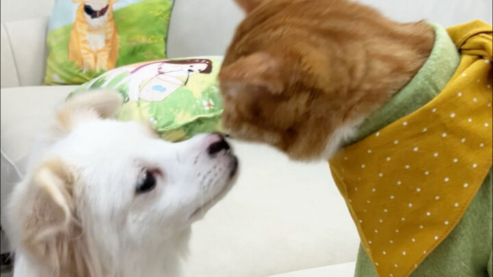 Though little in age, Yangyang is a total pro at charming her big siblings! #ChenDolaFromChenBella #