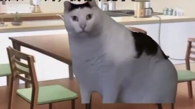 【มีมแมว】ส่วนเล็กๆ ในวัยเด็ก